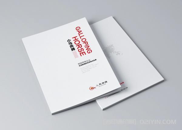 海外產(chǎn)品畫冊印刷  第2張